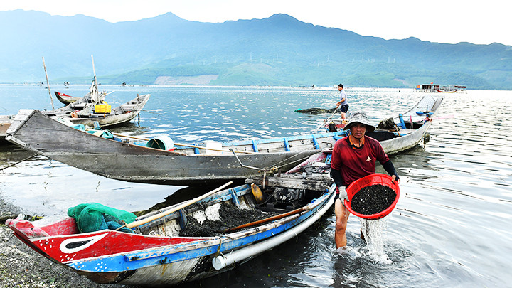 Nhịp sống của ngư dân.