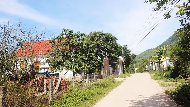 Các thôn ở xã Khánh Nam đã no ấm và đang không ngừng vươn lên. Các thôn ở xã Khánh Nam đã no ấm và đang không ngừng vươn lên.