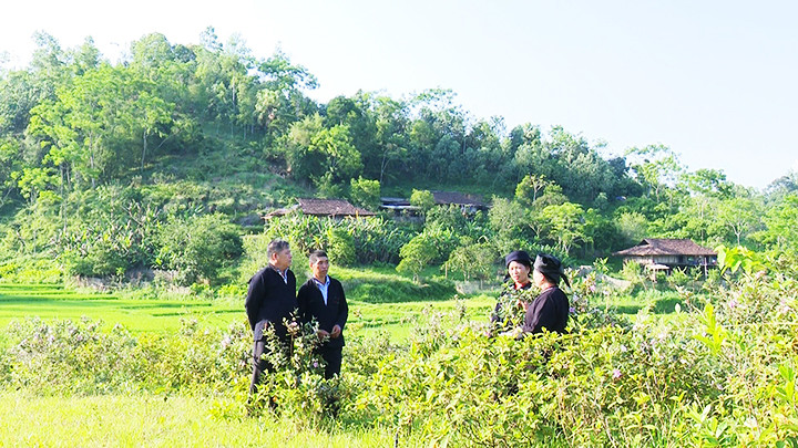 Một cuộc hát Sli ngoài cánh đồng ở Xuân Dương. Ảnh: CÔNG LUẬN