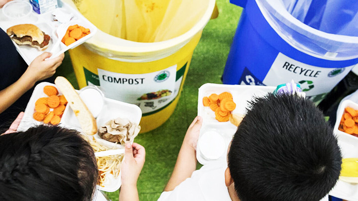 Hướng dẫn trẻ phân loại thực phẩm thừa. Ảnh: SHUTTER STOCK