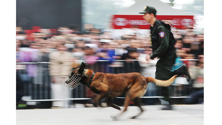Chó nghiệp vụ thể hiện kỹ năng đuổi bắt tội phạm. Chó nghiệp vụ thể hiện kỹ năng đuổi bắt tội phạm.