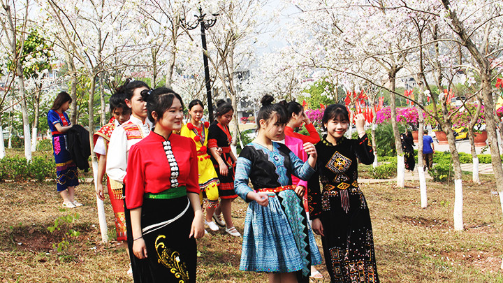 Thiếu nữ dân tộc xúng xính váy áo dưới sắc trắng pha tím đặc trưng của mùa hoa ban.