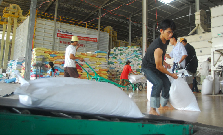 Đóng gói gạo xuất khẩu tại Công ty CP Gentraco (thành phố Cần Thơ).