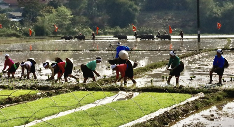 Lễ hội xuống đồng cầu cho 1 năm mưa thuận, gió hòa, mùa màng bội thu.