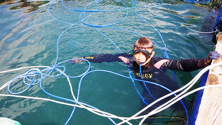 Công việc hằng ngày.