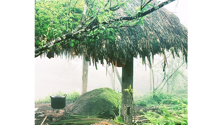 Thường có khoảng 20 ngày mưa trong mỗi tháng.