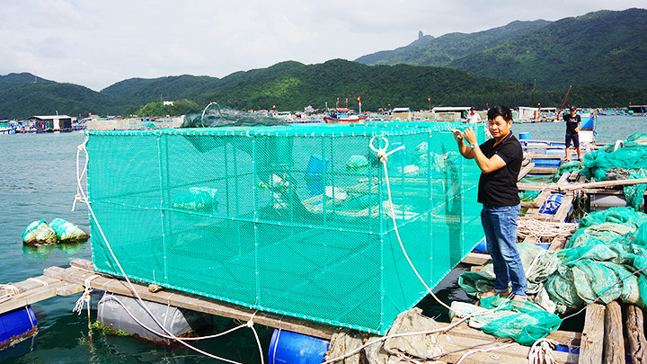 Dây buộc bốn góc để thả lồng chìm sâu 8-10m, vừa mát nước, vừa chống bão cấp 12, 14.