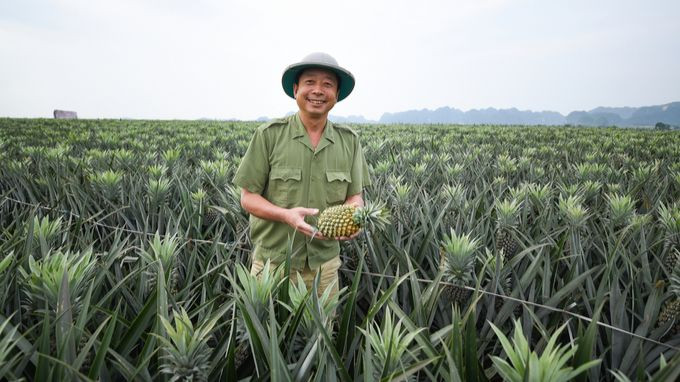 Rau quả là mặt hàng thế mạnh của Việt Nam, hiện có mặt trên hơn 60 thị trường. (Ảnh Nongnghiep.vn)