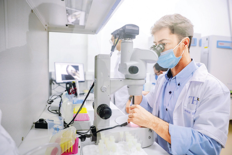 Tập đoàn TH đang từng bước làm chủ công nghệ thụ tinh ống nghiệm cho bò sữa tại Việt Nam. Tập đoàn TH đang từng bước làm chủ công nghệ thụ tinh ống nghiệm cho bò sữa tại Việt Nam.