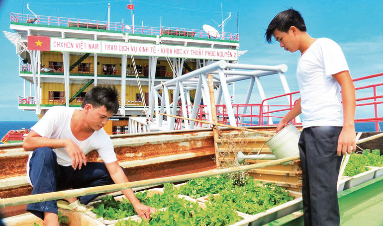 Chiến sĩ Nhà giàn Phúc Nguyên 2 chăm sóc những bồn rau xanh. Ảnh: MAI THẮNG