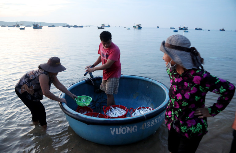 Những mớ cá hố tươi rói.
