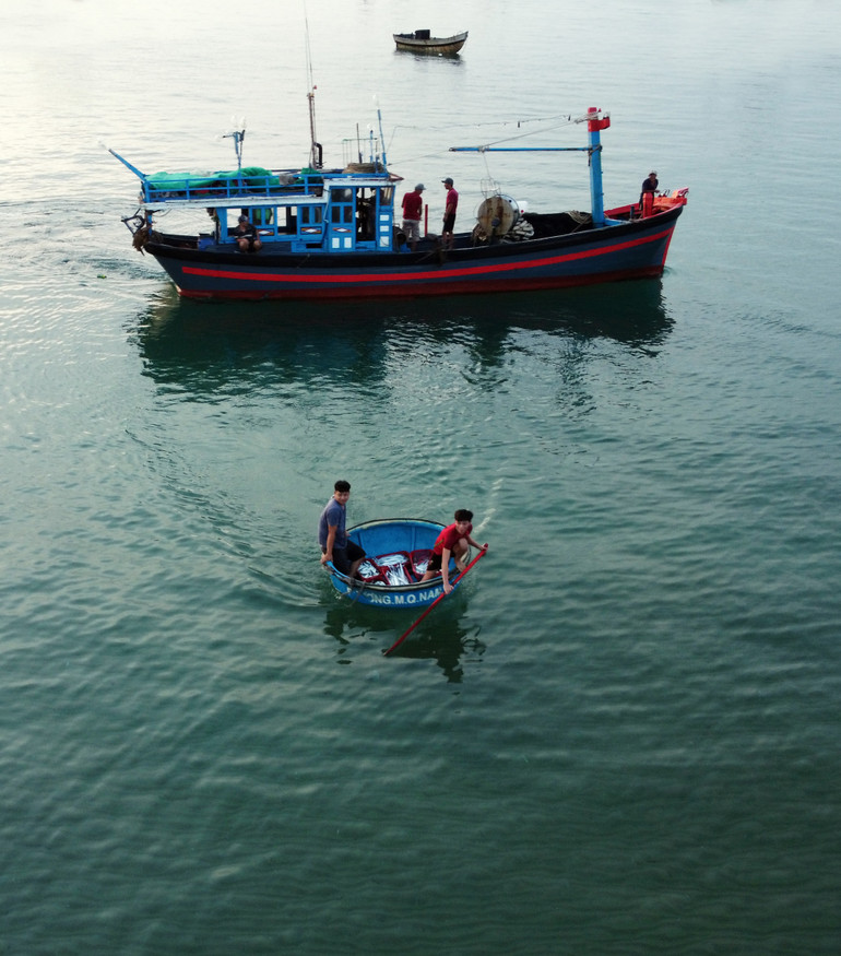 Chuyển cá lên chợ sau chuyến đánh bắt đêm.