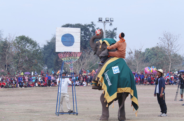 Voi ném bóng rổ, một trong những tiết mục trình diễn tại lễ hội. (Ảnh: Trịnh Dũng)