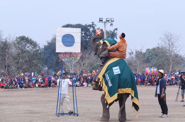 Voi ném bóng rổ, một trong những tiết mục trình diễn tại lễ hội. (Ảnh: Trịnh Dũng)
