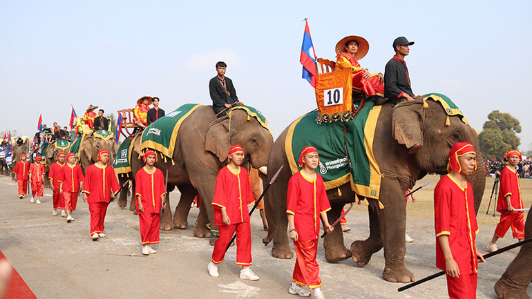 Những chú voi diễu hành qua khán đài. (Ảnh: Hải Tiến)
