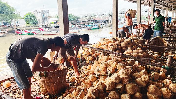 Các vựa dừa hai bên bờ sông.