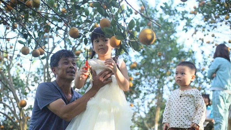 Các cháu nhỏ rất thích mô hình trải nghiệm cắt cam tại vườn Hợp tác xã 3T Farm của hộ gia đình ông Đỗ Ngọc Hà. (Ảnh LỆ THỦY)