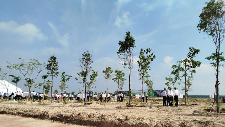 Cây xanh được trồng tại Khu công nghiệp Bàu Bàng mở rộng tại Lễ phát động.