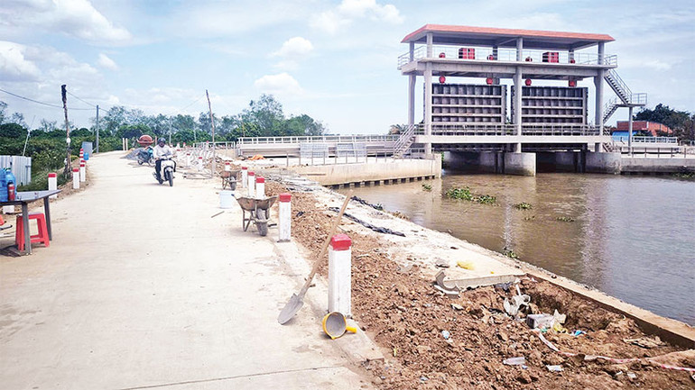 Cống Vàm Định Bình (xã Hòa Nghĩa, huyện Chợ Lách) chuẩn bị hoàn thành phục vụ ngăn mặn, trữ ngọt cho người dân trồng cây ăn quả.