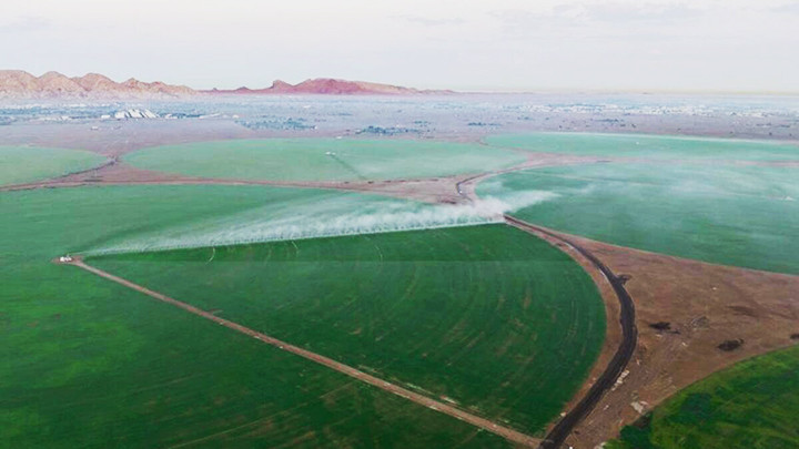 Nguồn nước tưới tiêu trên sa mạc là yếu tố then chốt. Ảnh: GETTY
