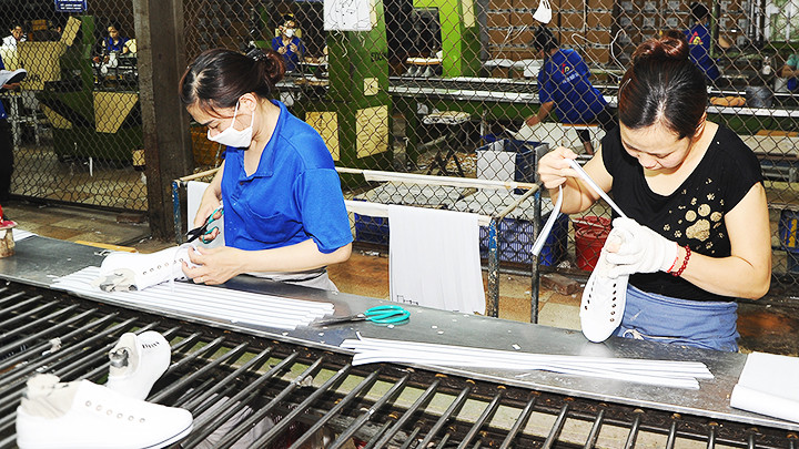 Các doanh nghiệp từng bước bảo đảm quản lý chất lượng cao theo tiêu chuẩn của thị trường EU. Ảnh: NAM ANH