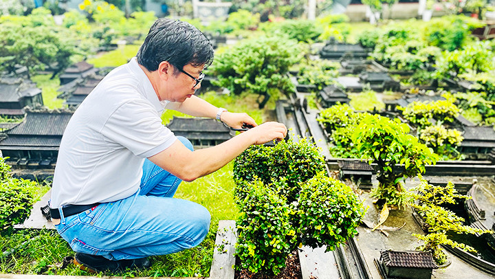 Mỗi tuần, anh Tùng luôn dành thời gian chăm sóc không gian “Cố đô Huế thu nhỏ” của mình.