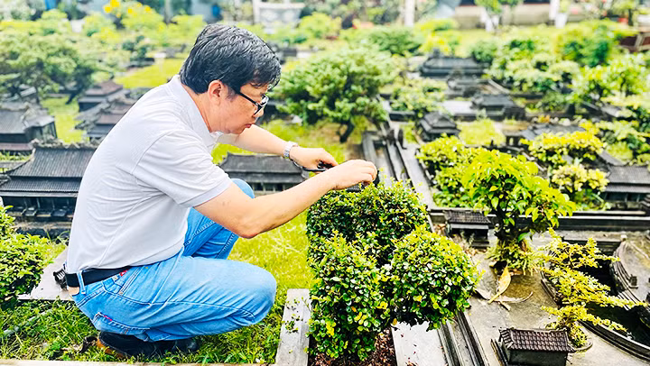 Mỗi tuần, anh Tùng luôn dành thời gian chăm sóc không gian “Cố đô Huế thu nhỏ” của mình.