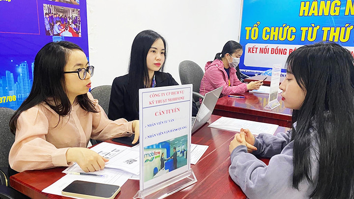 Các phiên giao dịch việc làm sẽ được tổ chức thường xuyên trong năm 2023.