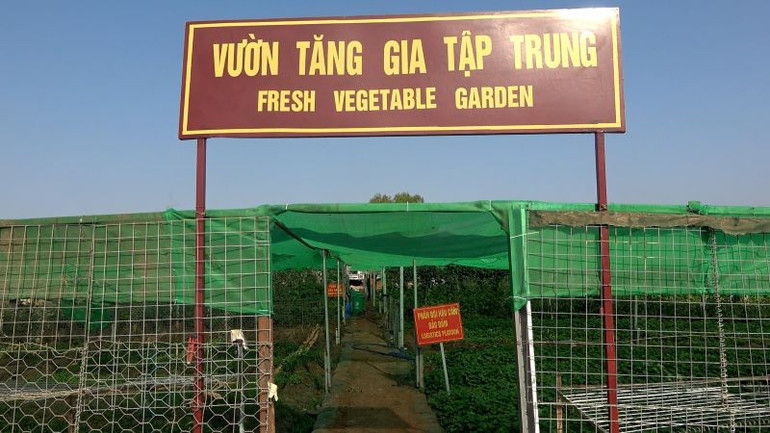 Vườn rau tăng gia tập trung của Đội Công binh số 3. Ảnh: Đội Công binh số 3 cung cấp.