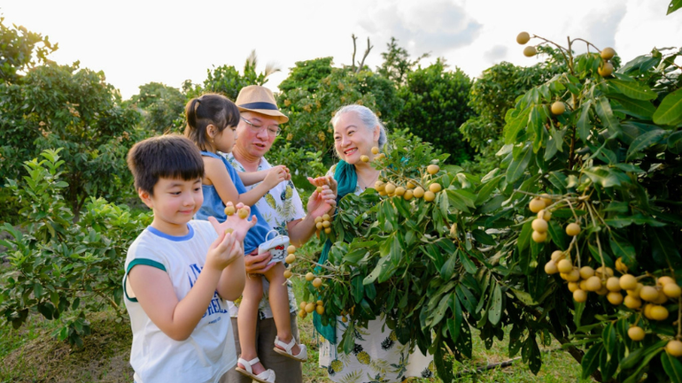 Du khách tham quan khu sinh thái Cantho Eco Resort, thành phố Cần Thơ. (Ảnh: Ngọc HÂN) Du khách tham quan khu sinh thái Cantho Eco Resort, thành phố Cần Thơ. (Ảnh: Ngọc HÂN)