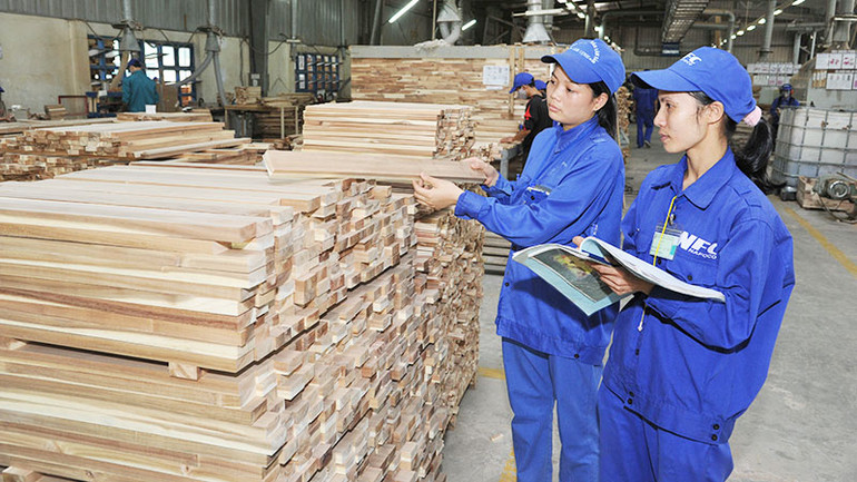 Kiểm tra chất lượng sản phẩm gỗ ở Công ty cổ phần lâm sản Nam Định (Nam Định). Ảnh LÂM THANH