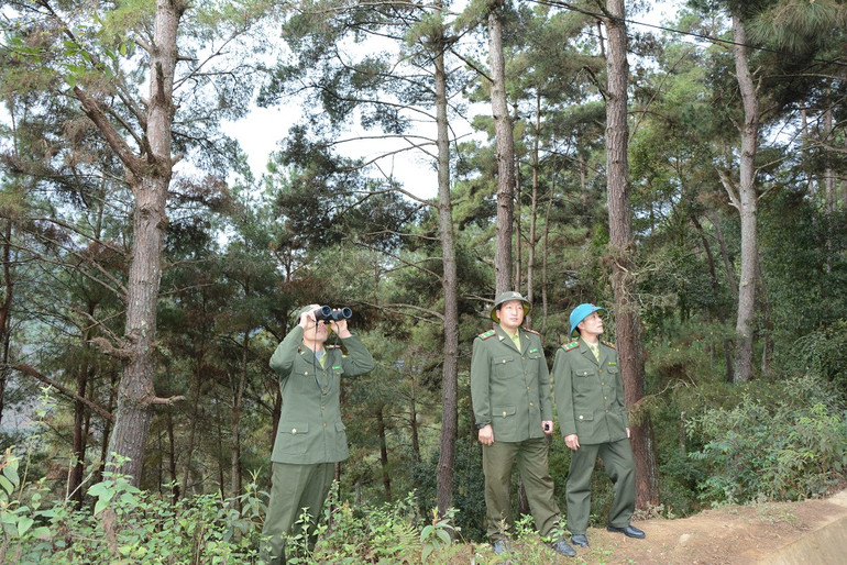 Kiểm lâm tỉnh Yên Bái kiểm tra rừng tại huyện Trạm Tấu.