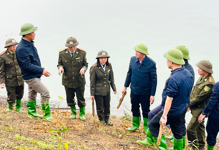Cán bộ và nhân dân Yên Bái trồng cây tràm nước ngọt trên đảo hồ Thác Bà vụ xuân 2023.