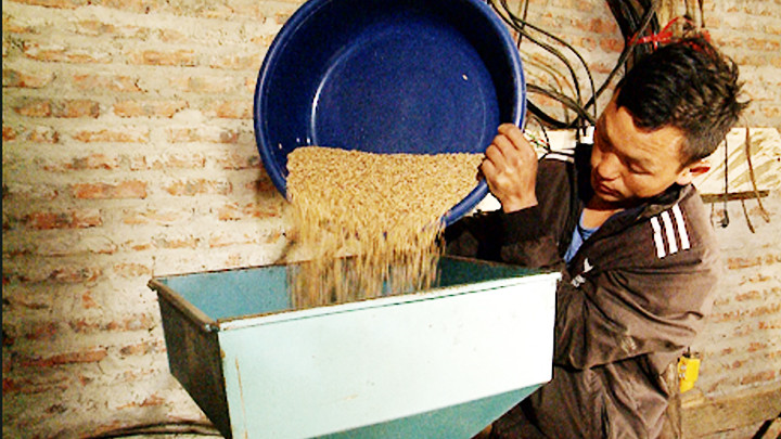 Trước đây, muốn chạy máy xay xát, anh Lý A Tủa phải đi 30 - 35 km đường núi, đường rừng.