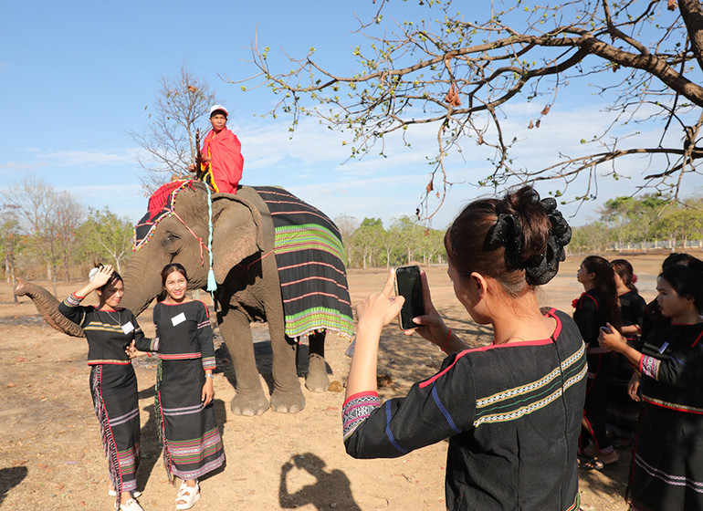 Voi nhà làm mẫu cho du khách chụp ảnh tại ngày hội.