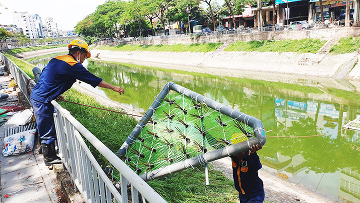 Thả bè cây tạo hệ vi sinh. Thả bè cây tạo hệ vi sinh.