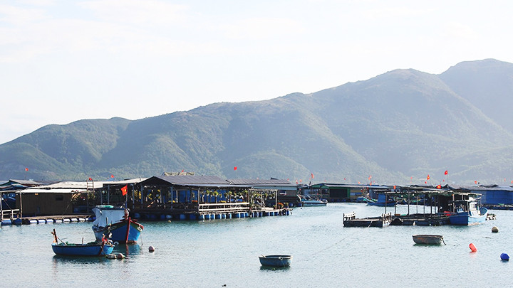 Từ người đầu tiên, đến nay đã có 150 gia đình ở đảo Trí Nguyên biết làm thành thục mô hình nuôi trồng hải sản gắn với du lịch.