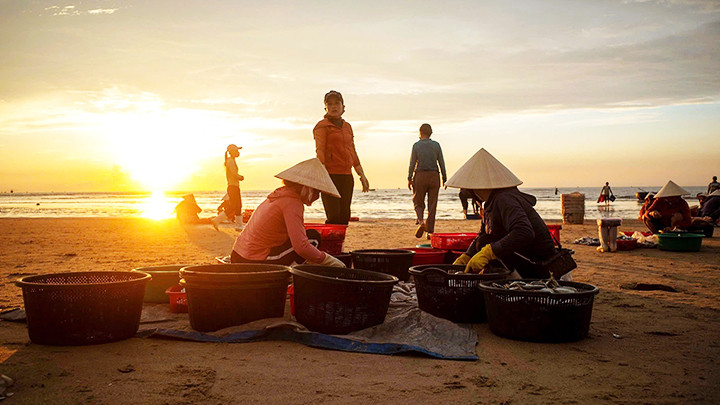 Phụ nữ Cảnh Dương đến chợ cá rất sớm để chọn được những mớ cá, mực tươi ngon. Phụ nữ Cảnh Dương đến chợ cá rất sớm để chọn được những mớ cá, mực tươi ngon.