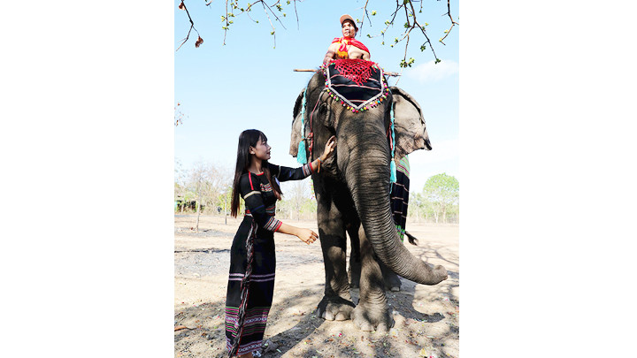 Nét đẹp Tây Nguyên. Nét đẹp Tây Nguyên.