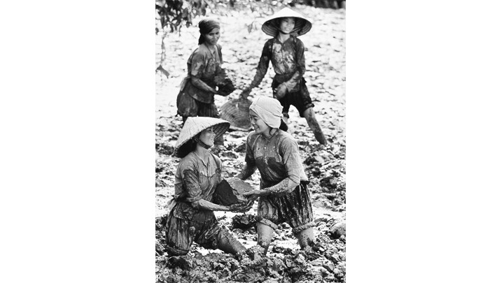 Những người phụ nữ dọn sạch kênh thủy lợi ngập nước bằng tay không (1969).