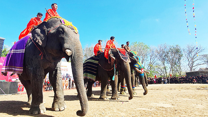 Tham dự lễ hội là các chú voi đến từ các buôn làng thuộc huyện Buôn Đôn. Tham dự lễ hội là các chú voi đến từ các buôn làng thuộc huyện Buôn Đôn.