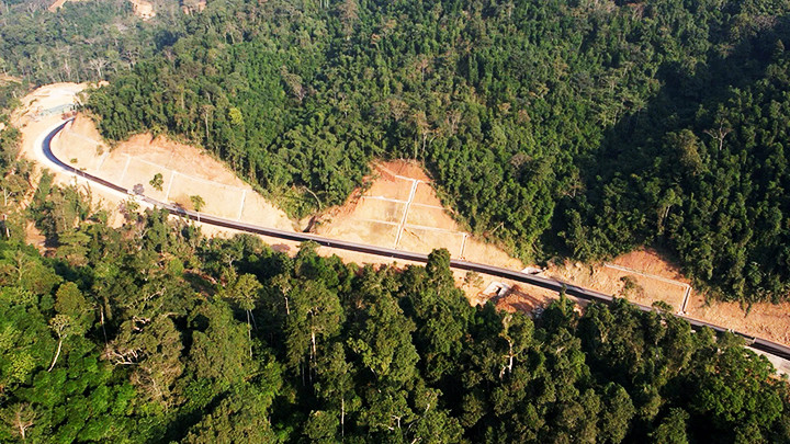 Con đường như dải lụa vắt xuyên qua những cánh rừng. Ảnh: SƠN TUẤN