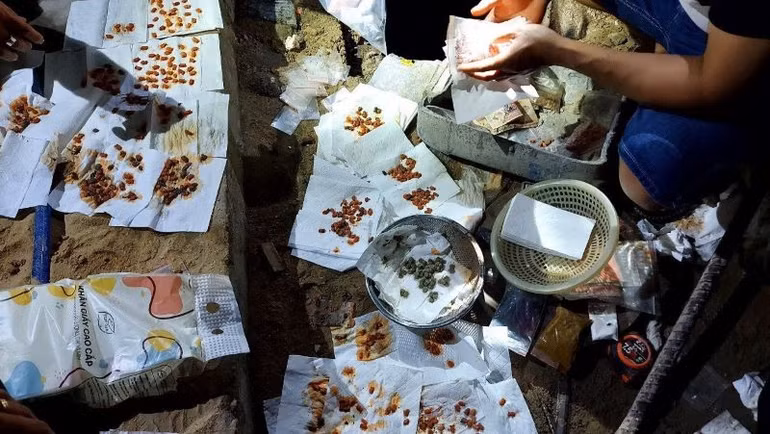 Ma túy thu giữ từ các đối tượng đổ xuống cống thoát nước.