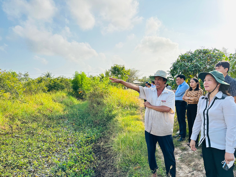 Chủ tịch Ủy ban nhân dân thành phố Bạc Liêu Lê Kim Thúy (nữ đội mũ tai bèo) thăm mô hình sản xuất nông nghiệp của hộ nông dân người Khmer ở xã Vĩnh Trạch Đông. (Ảnh: TRỌNG DUY)