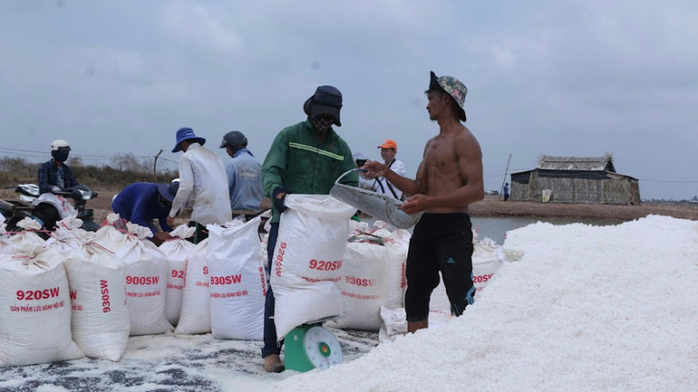 Từ lâu, Bạc Liêu được gọi là &quot;thánh địa muối&quot; của vùng miền Tây Nam Bộ.