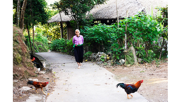 Khung cảnh bình yên ở xóm Mỗ.