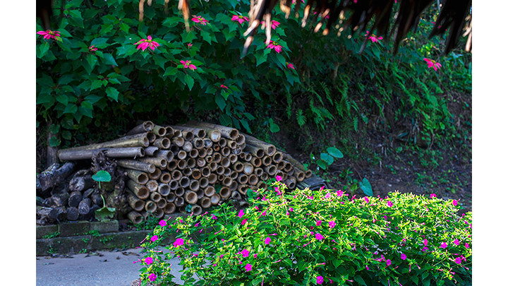 Trước hiên nhà.