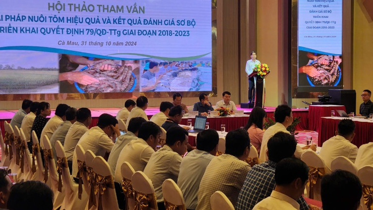 Hội thảo tham vấn về giải pháp nuôi tôm hiệu quả”, do Cục Thuỷ sản phối hợp với Sở Nông nghiệp và Phát triển nông thôn tỉnh Cà Mau tổ chức ngày 31/10.