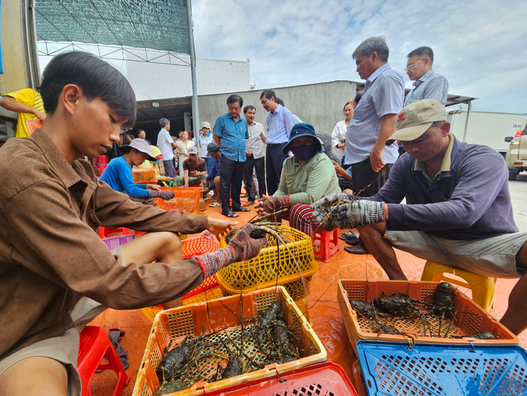 Nâng cao năng lực quản lý và sản xuất nuôi trồng thủy sản theo hướng hiện đại,