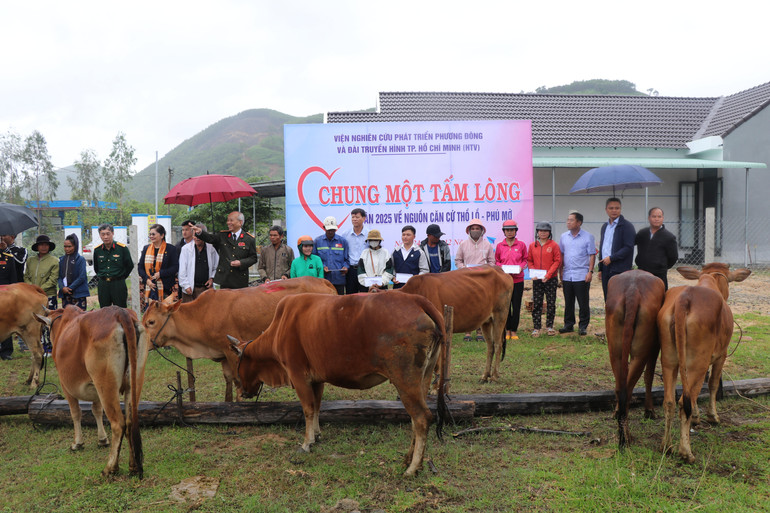 Tặng 11 con bò giống cho 11 hộ có hoàn cảnh khó khăn của xã Phú Mỡ, huyện Đồng Xuân, Phú Yên.